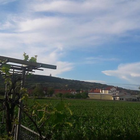 Pansion Brda Διαμέρισμα Rohrendorf bei Krems Εξωτερικό φωτογραφία