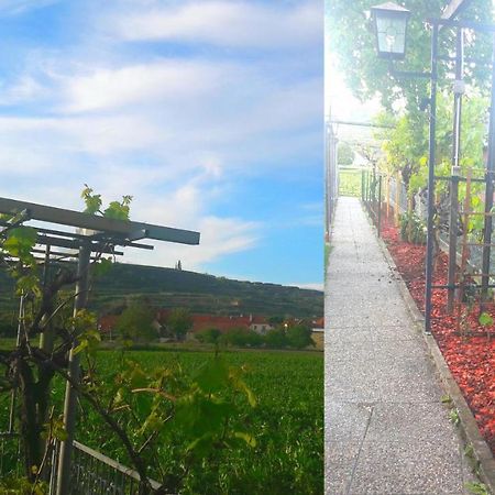 Pansion Brda Διαμέρισμα Rohrendorf bei Krems Εξωτερικό φωτογραφία