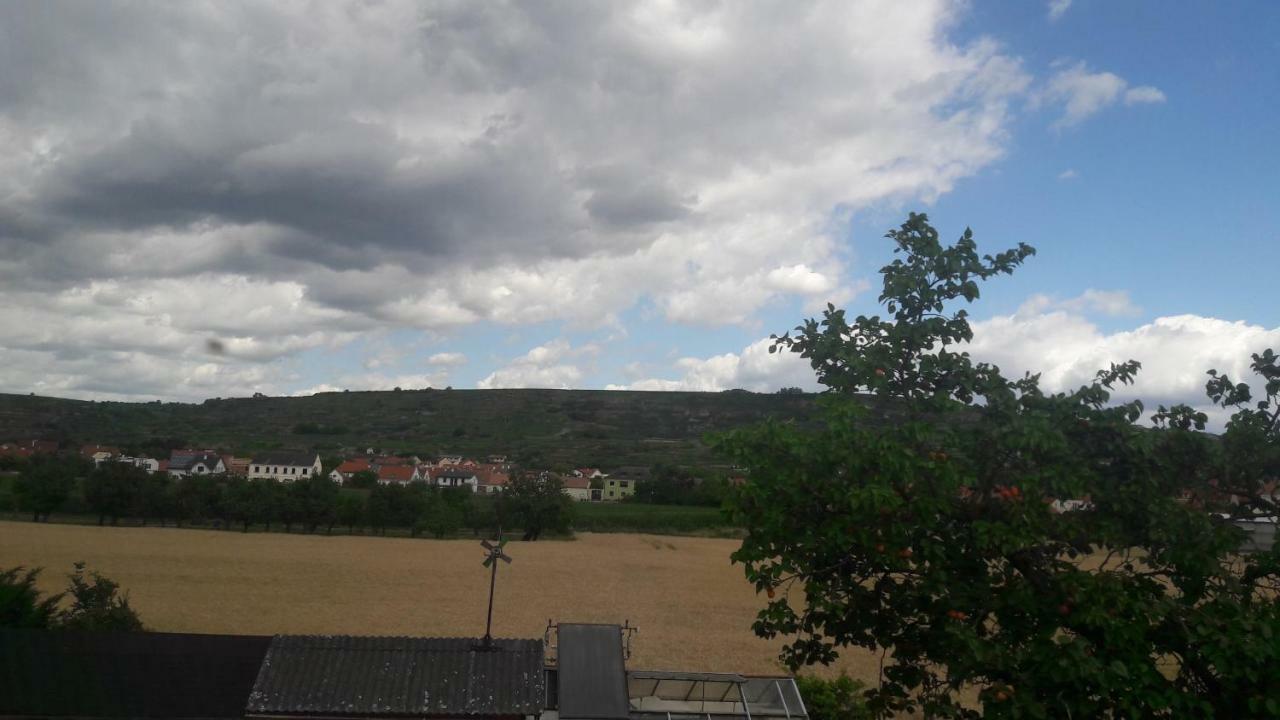 Pansion Brda Διαμέρισμα Rohrendorf bei Krems Εξωτερικό φωτογραφία