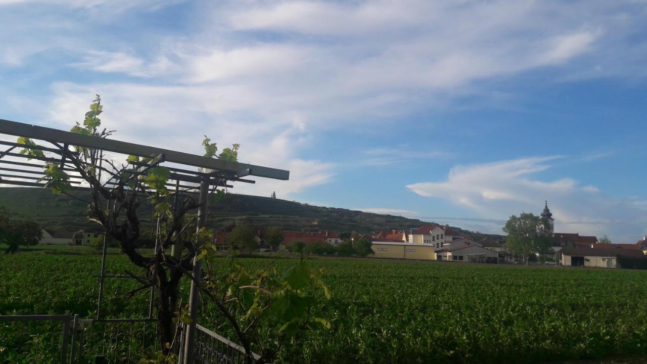 Pansion Brda Διαμέρισμα Rohrendorf bei Krems Εξωτερικό φωτογραφία